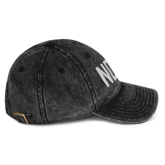Nope No Kings in America Right Side Hat