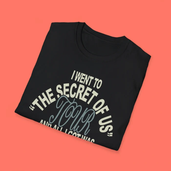 I Went To The Secret Of Us Tour And All I Got Was This Folded Shirt