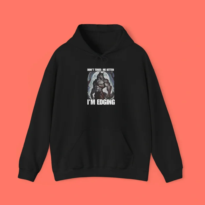 Don't Touch Me Kitten I'm Edging Hoodie